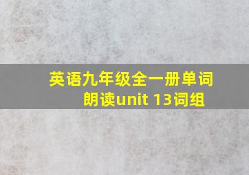 英语九年级全一册单词朗读unit 13词组